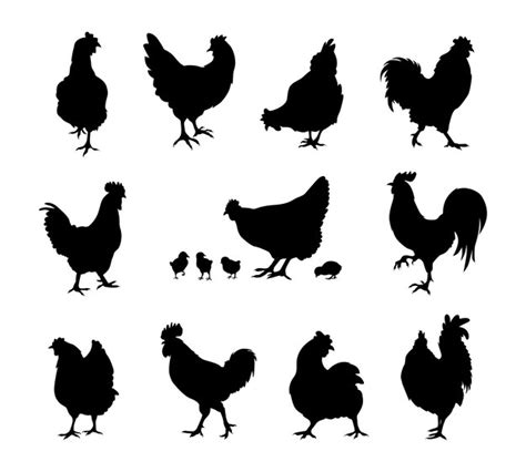 Dise O Vectorial De Silueta De Pollo Vector Premium