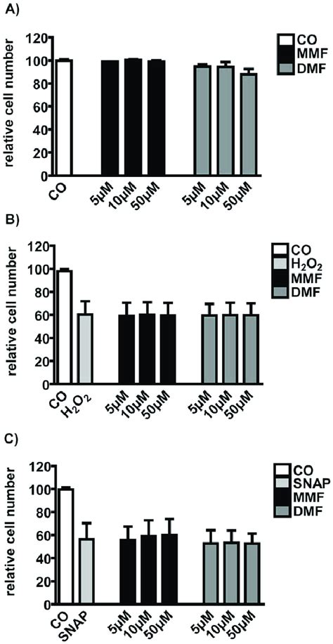 Analysis Of Cytoprotetive Properties Of Mmf And Dmf On The Cg4 Cell