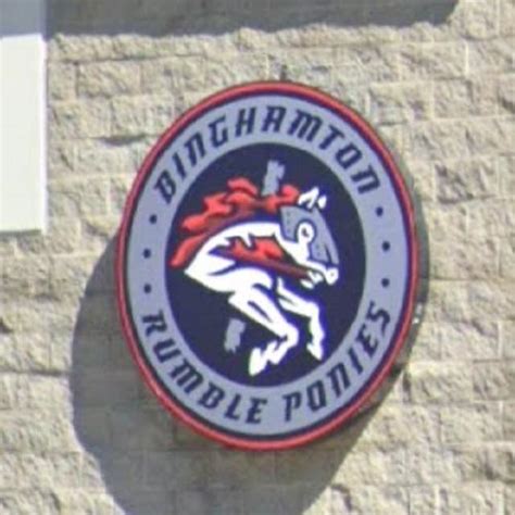 Binghamton Rumble Ponies logo in Binghamton, NY (Google Maps)