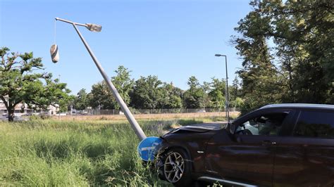 Mannheim Unfall wegen einer Biene im Auto Fahrer ohne Führerschein