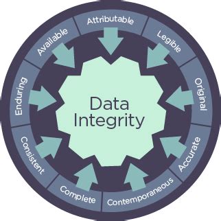 What Is Data Integrity Technology Networks