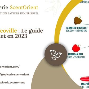 Chelle De Scoville Guide Sur La Mesure De L Intensit Des Piments