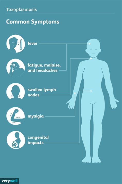 Toxoplasmosis: Signs, Symptoms, and Complications