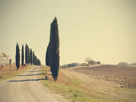 Somerset House Images Tuscan Countryside