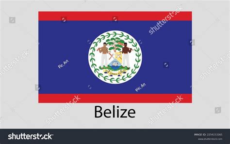 Vector Image Belize Flag Stock Vector (Royalty Free) 2254153265 ...