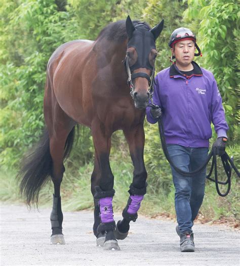 【注目馬動向】皐月賞馬のジャスティンミラノは天皇賞・秋に直行 鞍上は引き続き戸崎圭太騎手 Umatoku 馬トク