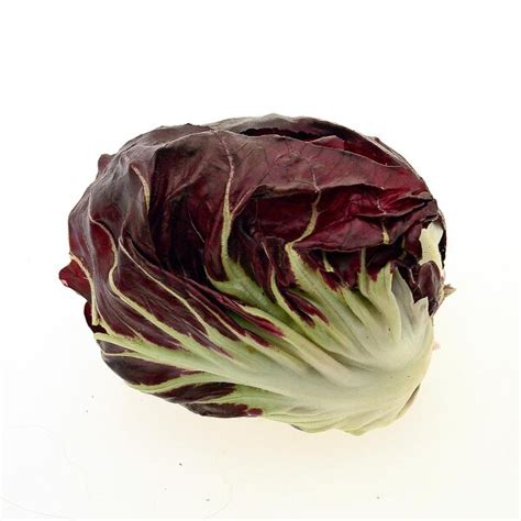 Radicchio Palla Rossa Cichorium Intybus Var Foliosum Bio Saatgut