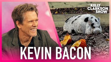 Kevin Bacon Helped Find Namesake Runaway Pig Youtube