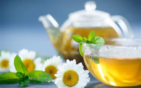 50 Unbelievable Benefits Of Drinking Chamomile Tea Ultimate Guide 2023