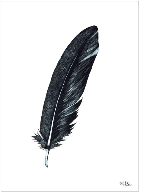 Crow Feather Black Raven Feather Minimalist Print. Fine Art - Etsy