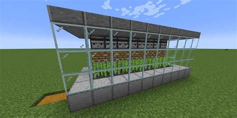 Guida Alla Fattoria Di Canna Da Zucchero Di Minecraft Come Costruire