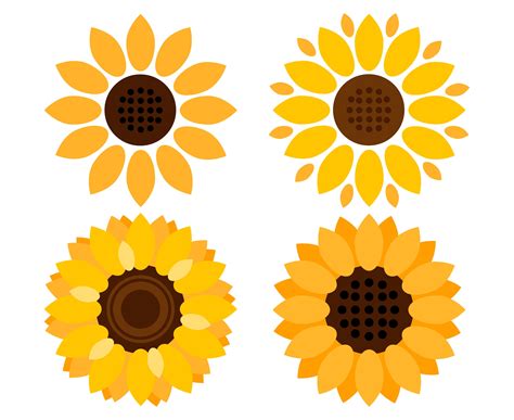 Sunflower Illustration Vector at GetDrawings | Free download