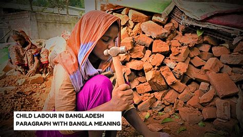 Child Labour In Bangladesh Paragraph With Bangla Meaning Bdiba