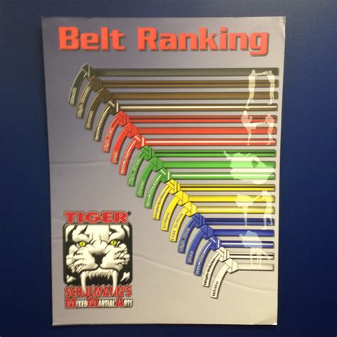 Who Is The Highest Ranking Black Belt In Tiger Schulmann - Belt Poster