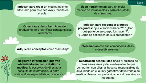 Orientaciones Did Cticas Ejemplos Para Lograr Los Aprendizajes Esperados