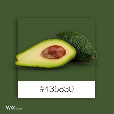 Color Palette Inspiration Green Avocado Food Colors Palette Green