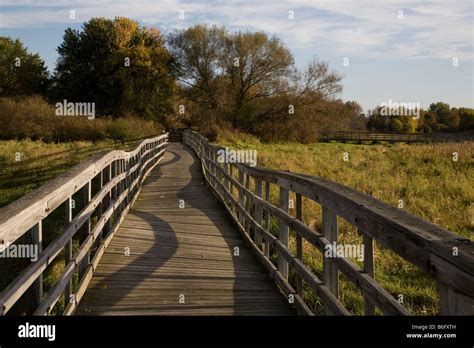 Wooden Walkway With Railings Over A Marsh Stock Photo Alamy