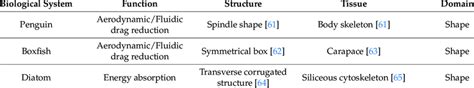 Biological systems categorised into shapes domain with their respective ... 
