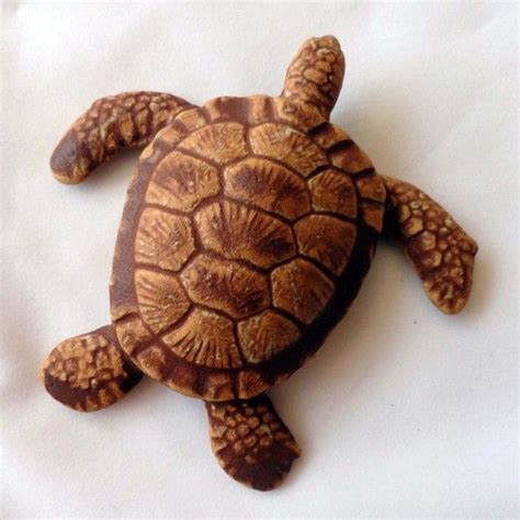 25 Best Images About Wood Carvings Turtles On Pinterest Sea Turtles