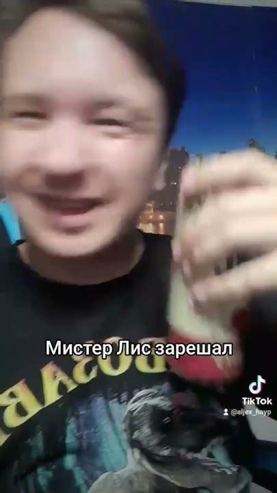 Мистер лис - YouTube