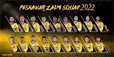 Psl 2023 All Teams Squads Finalized Psl 8 All Teams Players List