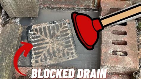 Blocked Sink Gully Drain Unblocking Youtube