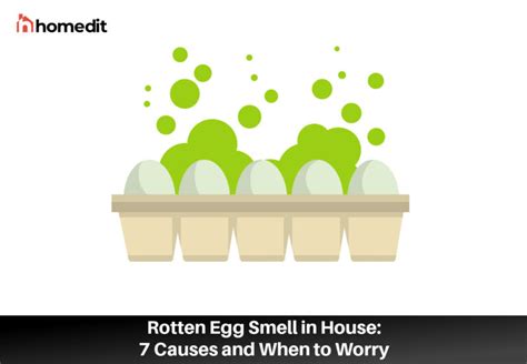 A Rotten Egg Smell In The House Can Be Dangerous What To Do