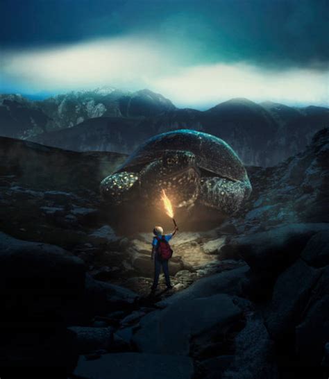 80 Surreal Turtle Stock Photos Pictures And Royalty Free Images Istock
