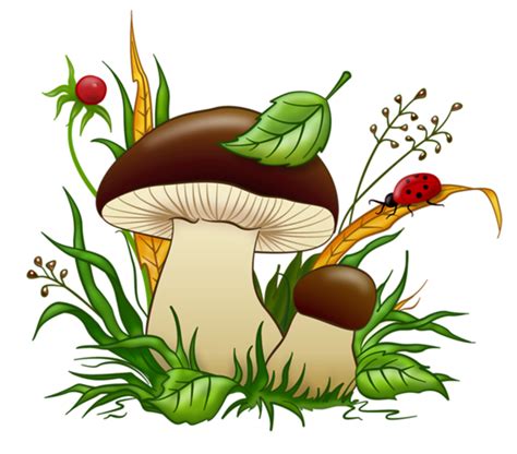 0_167ed2_2ac5576e_orig (900×791) | Art drawings for kids, Mushroom art ...