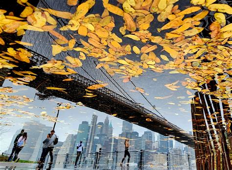 59 Best Brooklyn Bridge Park Images On Pholder Nyc City Porn And Brooklyn