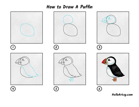 How to Draw A Puffin - HelloArtsy