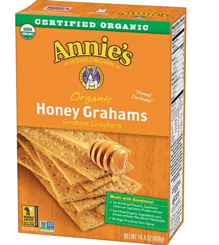 Annie's Homegrown Organic Honey Grahams Graham Crackers -- 14.4 oz ...