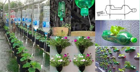 How To Reuse Plastic Bottles For Gardening Engineering Discoveries