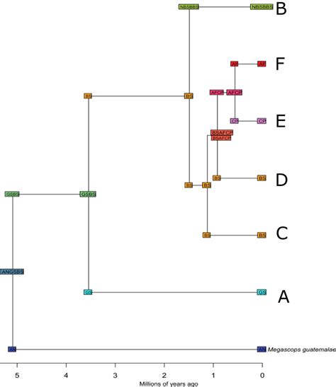 Ancestral Area Reconstruction Based On The Divalike Model Favored By