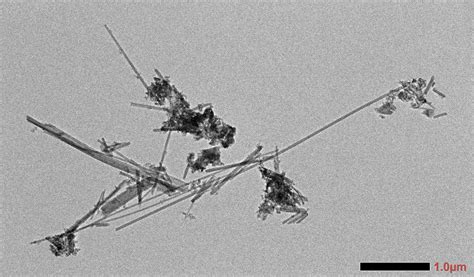 JEOL detects carcinogen asbestos in materials from buildings in Ukraine ...