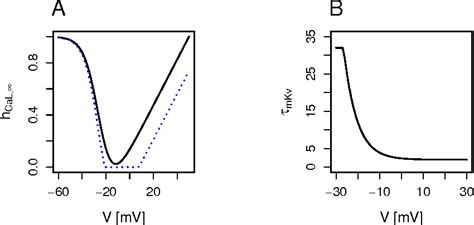 Figure 1 From A Biophysical Model Of Electrical Activity In Human β