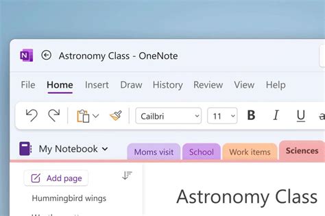 Microsoft Starts Testing New Onenote Design Overhaul The Verge