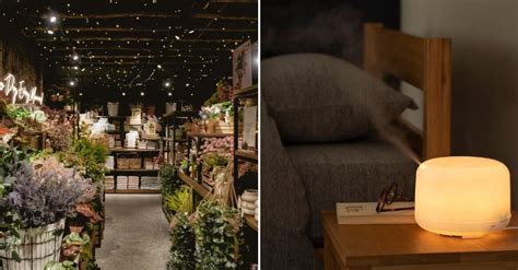 home decor stores  malaysia elevate  space  timeless