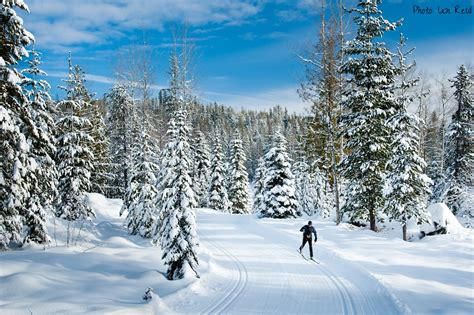 31 Best Places And Things To Do In Rossland Canada Places And Things