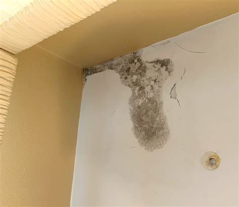 How To Get Rid Of Mold In Corner Ceiling Psoriasisguru