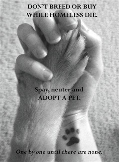 Quotes About Adopting Animals Quotesgram