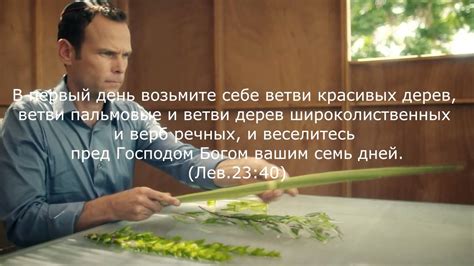 Сукот - YouTube
