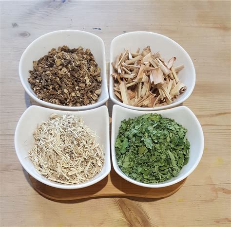 Dr Herbs How Well Do You Know Your Herbs How Many Can