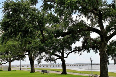 Hancock County Beaches, Mississippi | Pet Friendly Travel