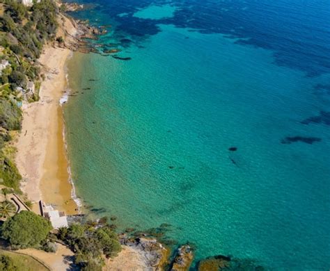 Photo A Rienne De La Plage De Sylvabelle La Croix Valmer Fokalstock