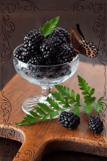 Good Afternoon Blackberry Gifs Food Desert Butterflies Animation