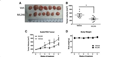 Effect Of Ml246 On Growth Of Ovarian Cancer Pdx Tumors Grafted