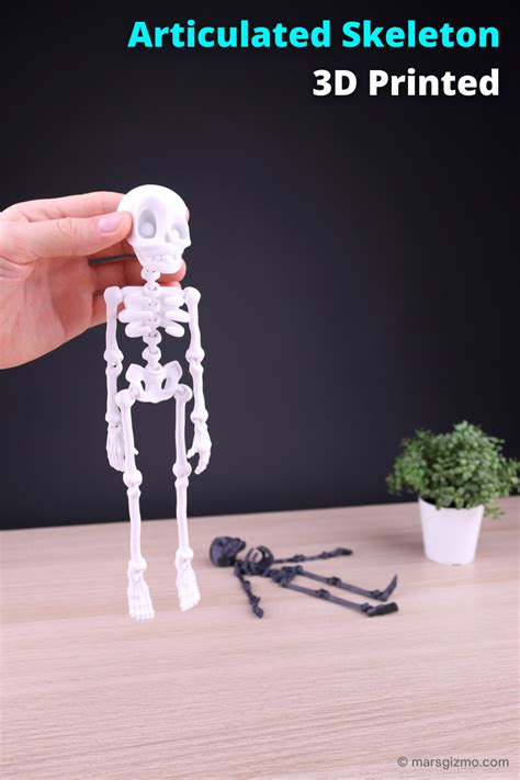 3d Articulated Skeleton 3d Printing Art Model Prints