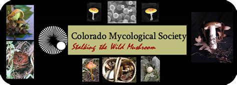 Colorado Mycological Society Colorado Mushroom Club