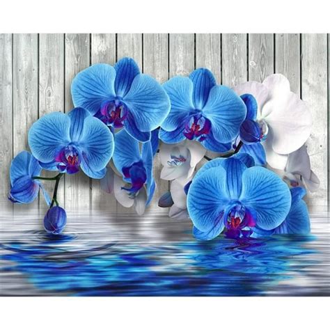 Orchid E Bleue Diamond Painting Kit Complet Fleurs Broderie Diamant Kit